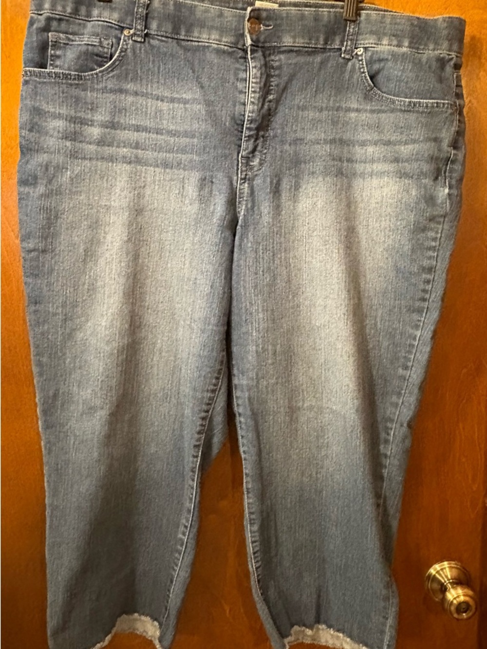 Terra & Sky Light Blue Cropped Ankle Jeans